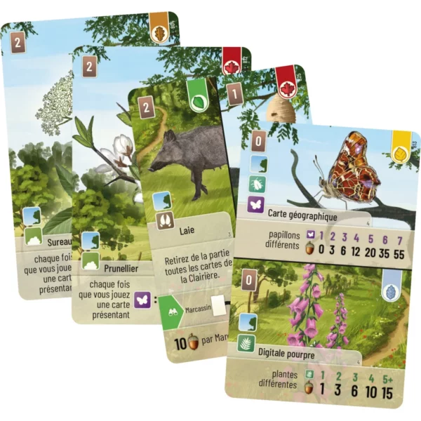 Forêt Mixte - Lisière de forêt carte du jeu