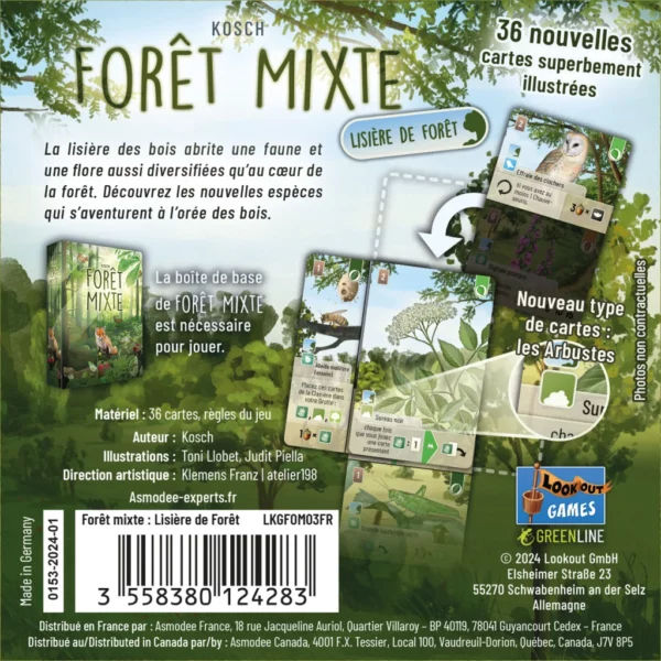 Forêt Mixte - Lisière de forêt dos de la boite