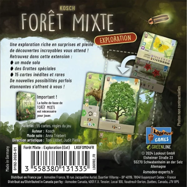 Forêt Mixte - Exploration dos