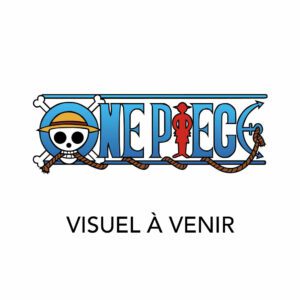One Piece Card Game OP16 - Deck de Démarrage Luffy & Ace