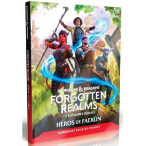 Dungeons & Dragons - Forgotten Realms : Héros de Faerûn